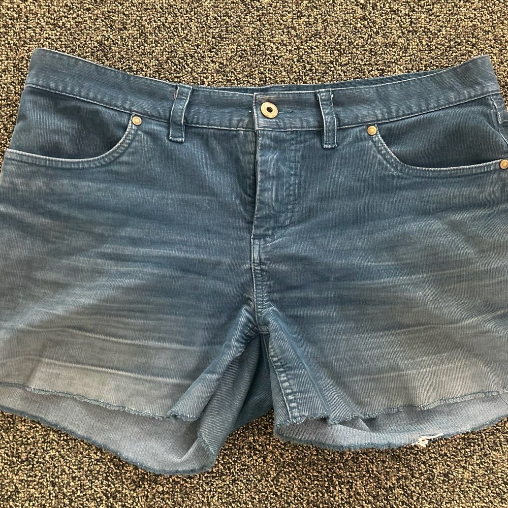 Carve Designs Dogtown 4" shorts